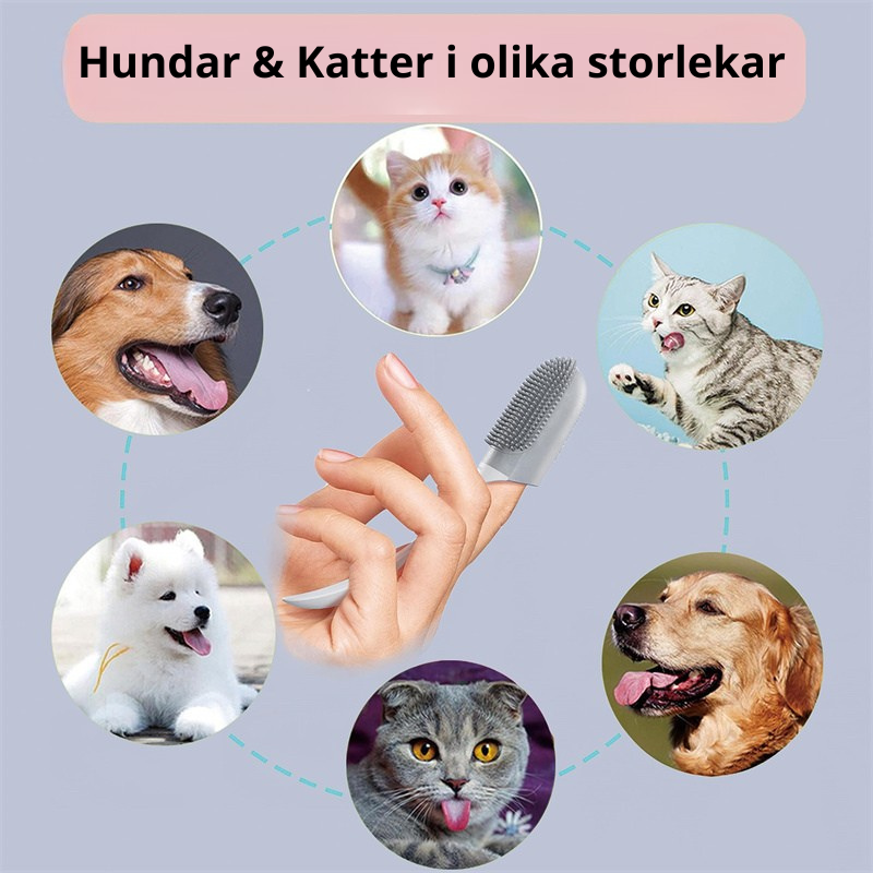 Tandborste för Hund & Katt