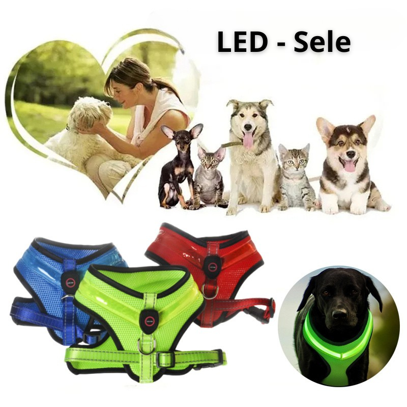 LED-Reflekterande Hundsele – USB-Uppladdningsbar Säkerhetssele för Hundar