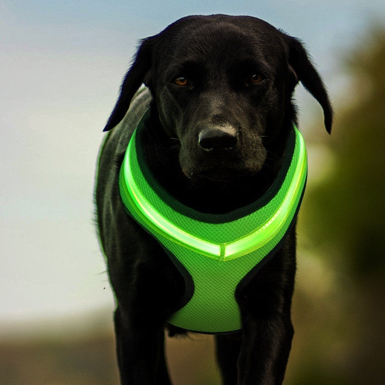 LED-Reflekterande Hundsele – USB-Uppladdningsbar Säkerhetssele för Hundar