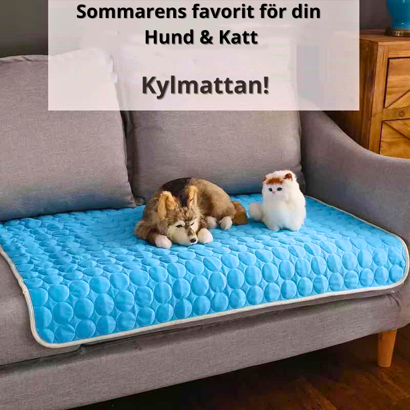 Kylmatta för din Hund & Katt
